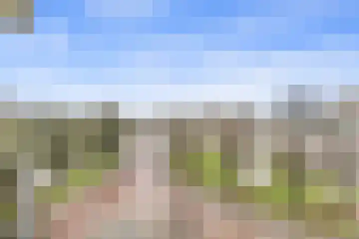 Morssingel 237 Leiden thumbnail 4
