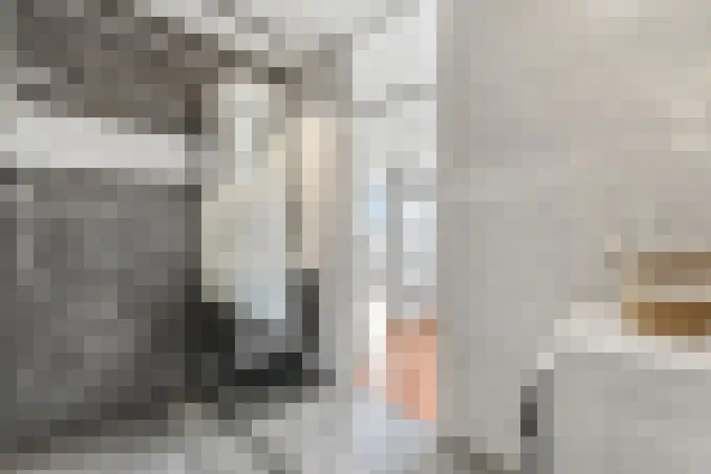 Morssingel 237 Leiden thumbnail 4