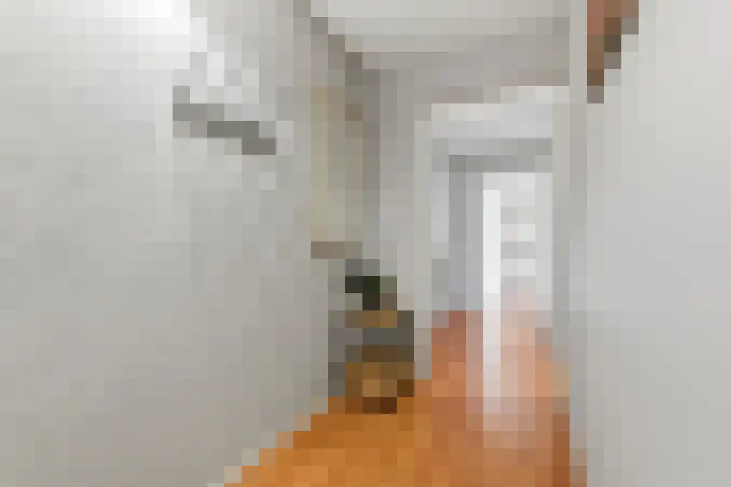 Morssingel 237 Leiden thumbnail 6