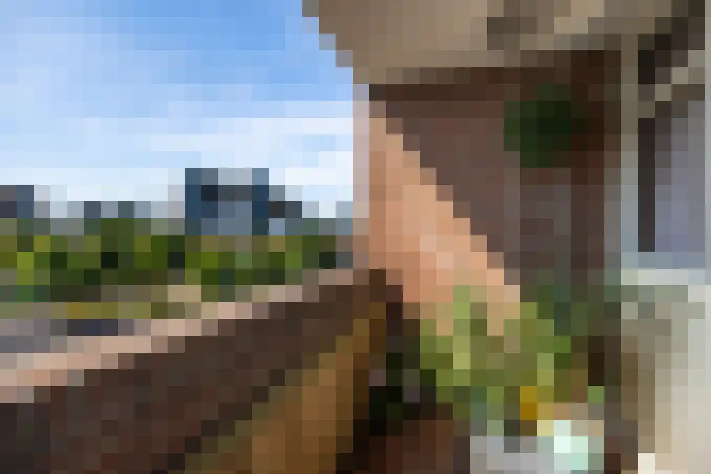 Morssingel 241 Leiden thumbnail 16