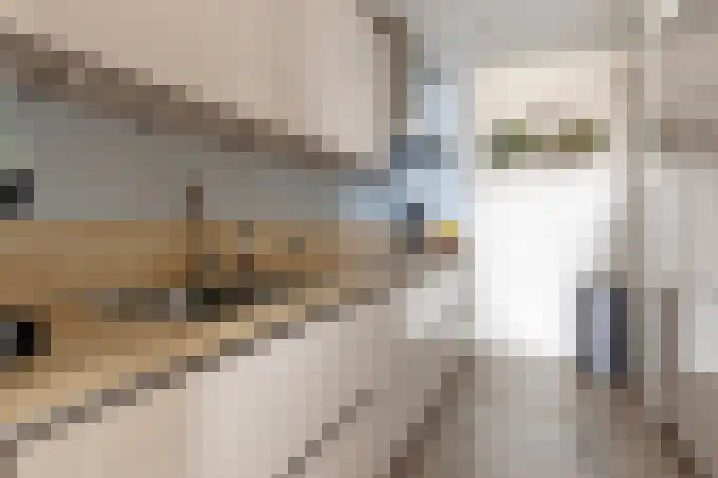 Morssingel 267 Leiden thumbnail 10