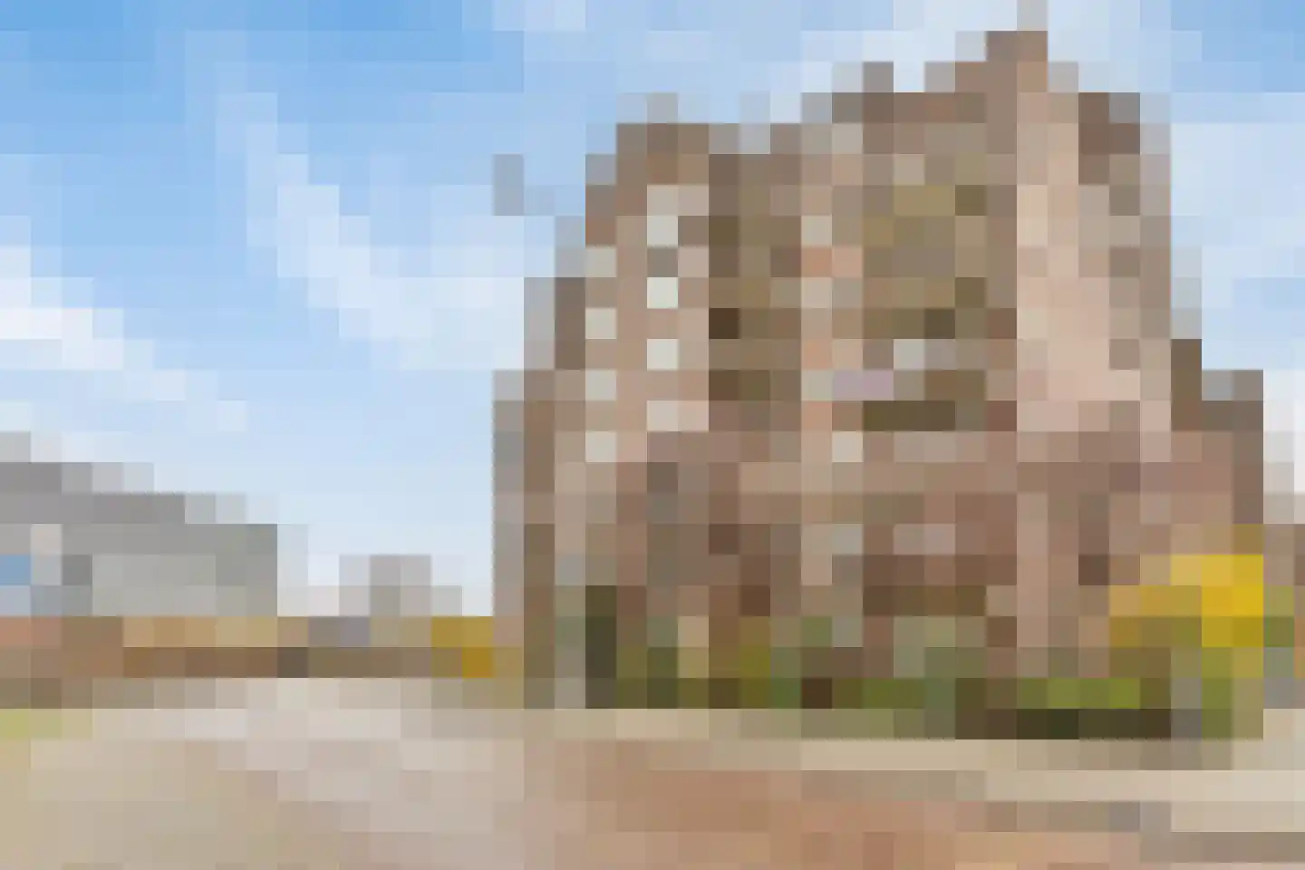 Morssingel 267 Leiden thumbnail 17