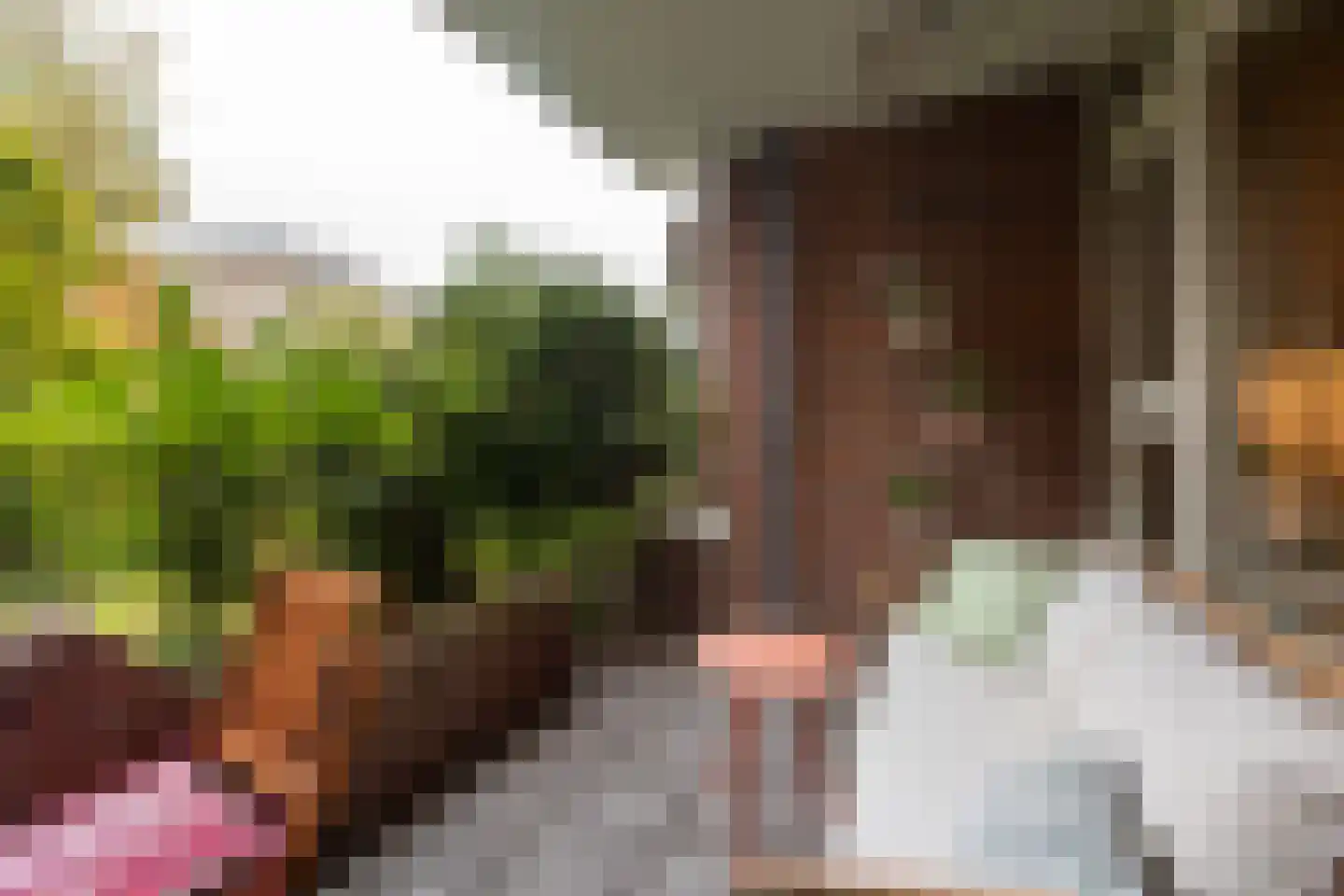 Morssingel 51 Leiden thumbnail 17