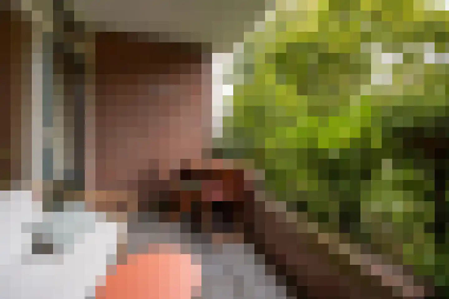 Morssingel 51 Leiden thumbnail 18