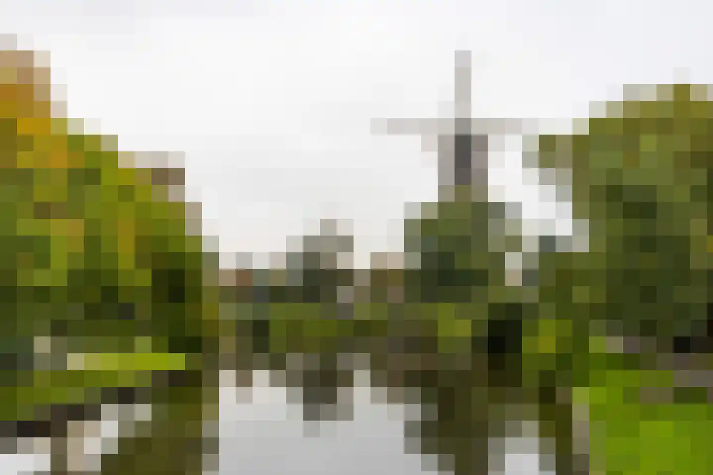 Morssingel 51 Leiden thumbnail 23