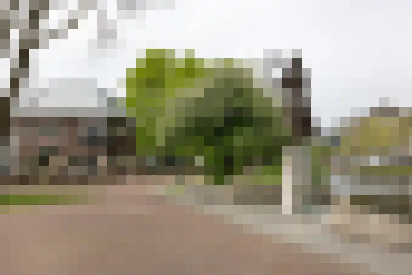 Morssingel 51 Leiden thumbnail 25