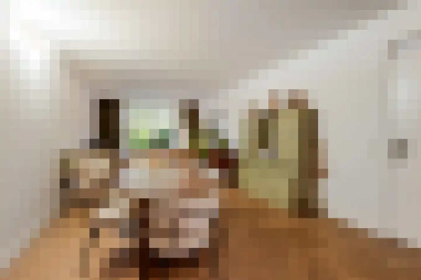 Morssingel 51 Leiden thumbnail 8