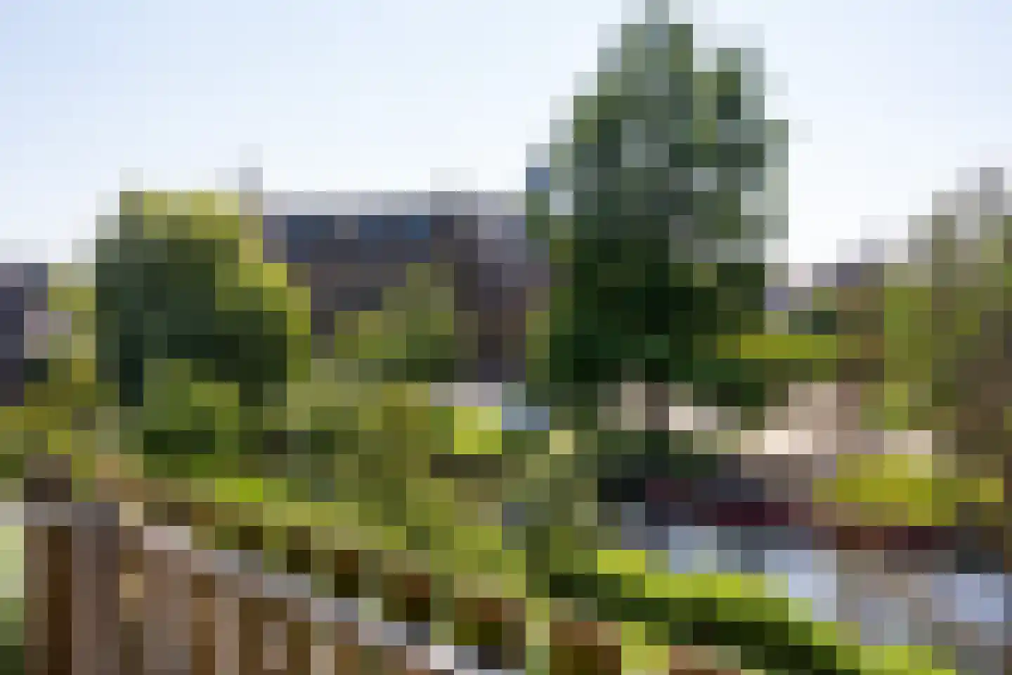 Morssingel 95 Leiden thumbnail 20