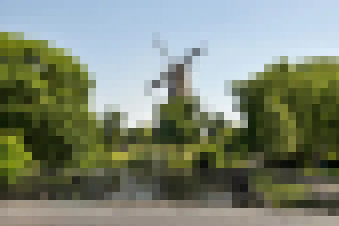 Morssingel 95 Leiden thumbnail 24