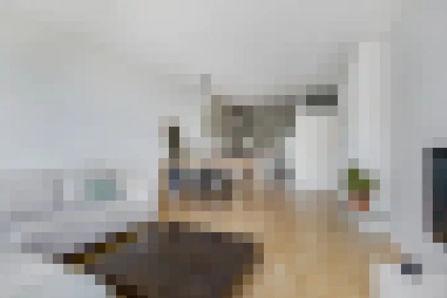 Morssingel 95 Leiden thumbnail 8
