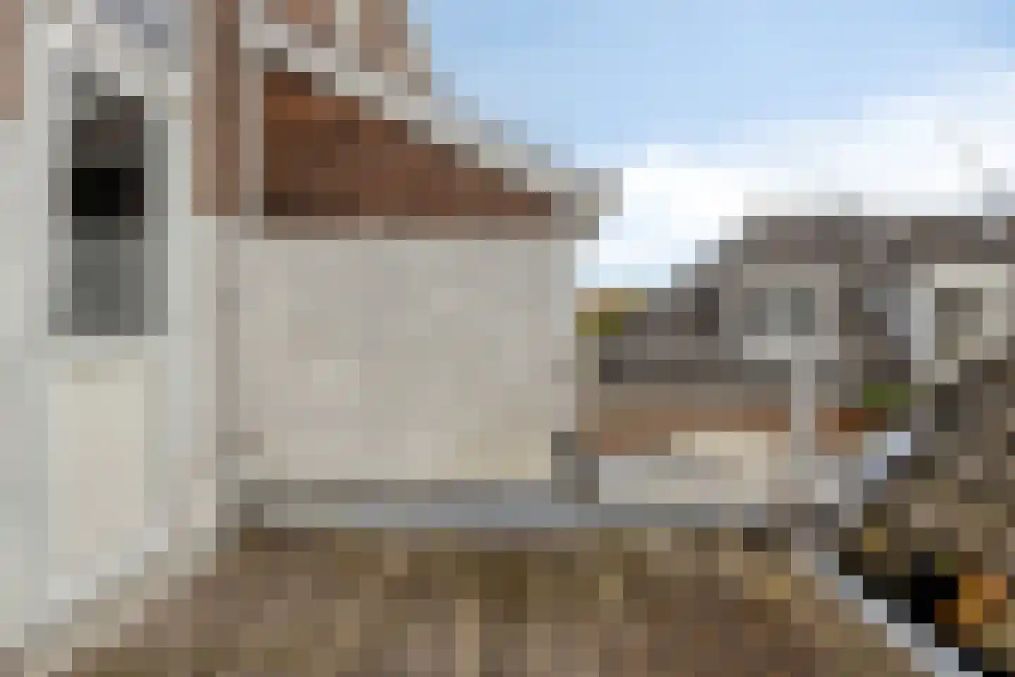 Morsweg 10 A Leiden thumbnail 23