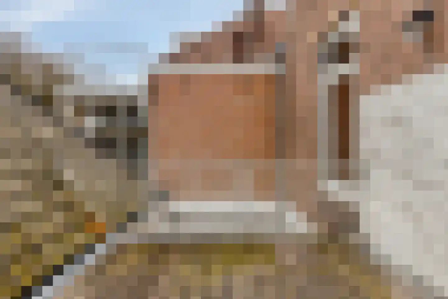 Morsweg 10 A Leiden thumbnail 7