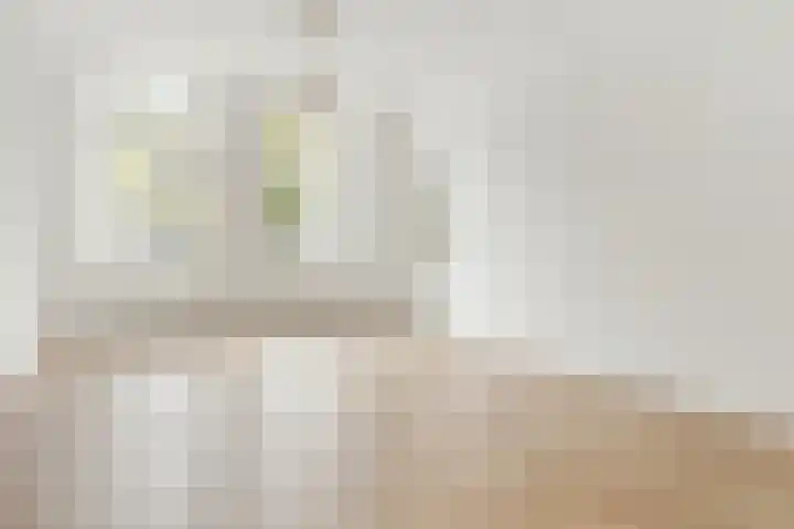 Morsweg 10 Leiden thumbnail 13