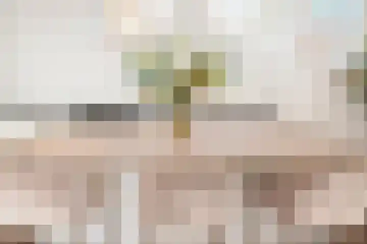 Morsweg 10 Leiden thumbnail 16