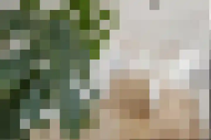 Morsweg 10 Leiden thumbnail 18