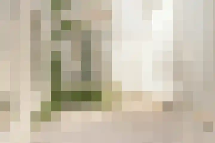 Morsweg 10 Leiden thumbnail 30