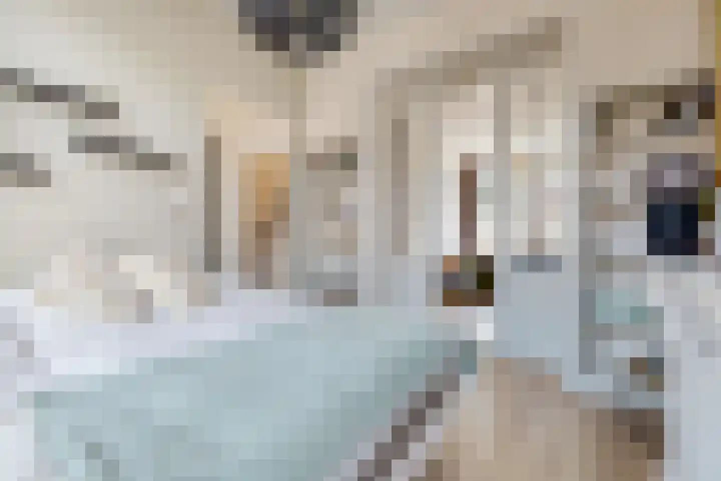 Morsweg 144 A Leiden thumbnail 11