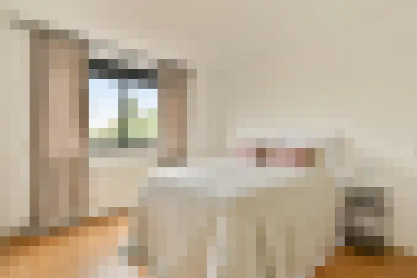 Morsweg 188 J Leiden thumbnail 17