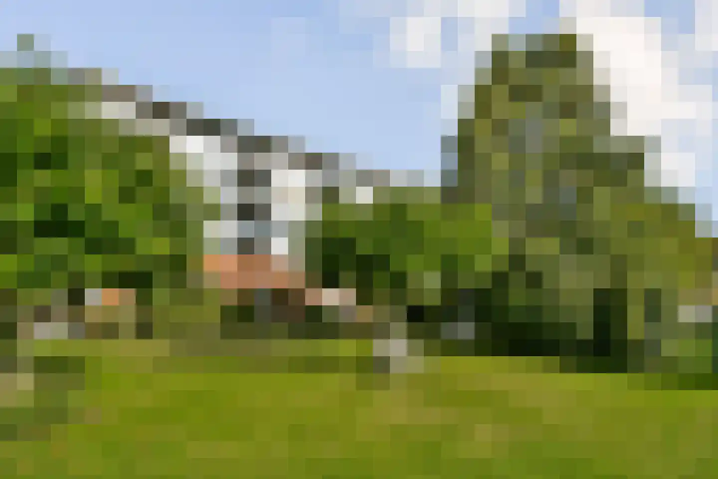 Morsweg 188 J Leiden thumbnail 30