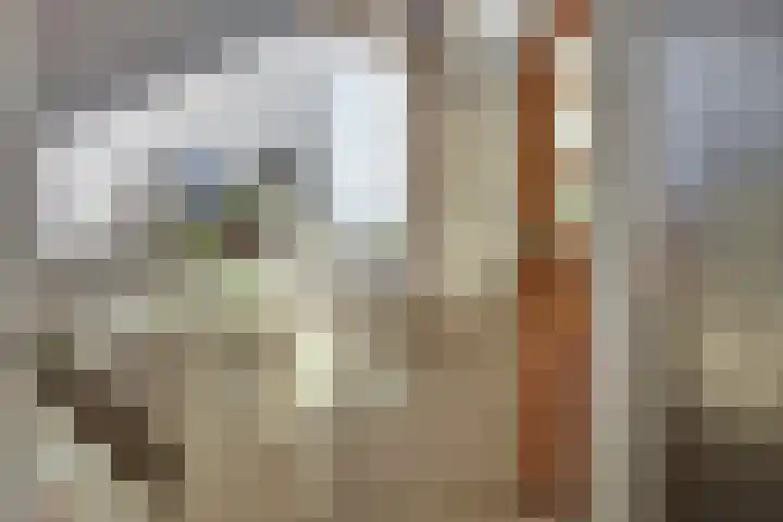 Morsweg 2 Geesteren thumbnail 15