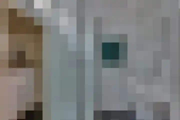 Morsweg 2 Geesteren thumbnail 4