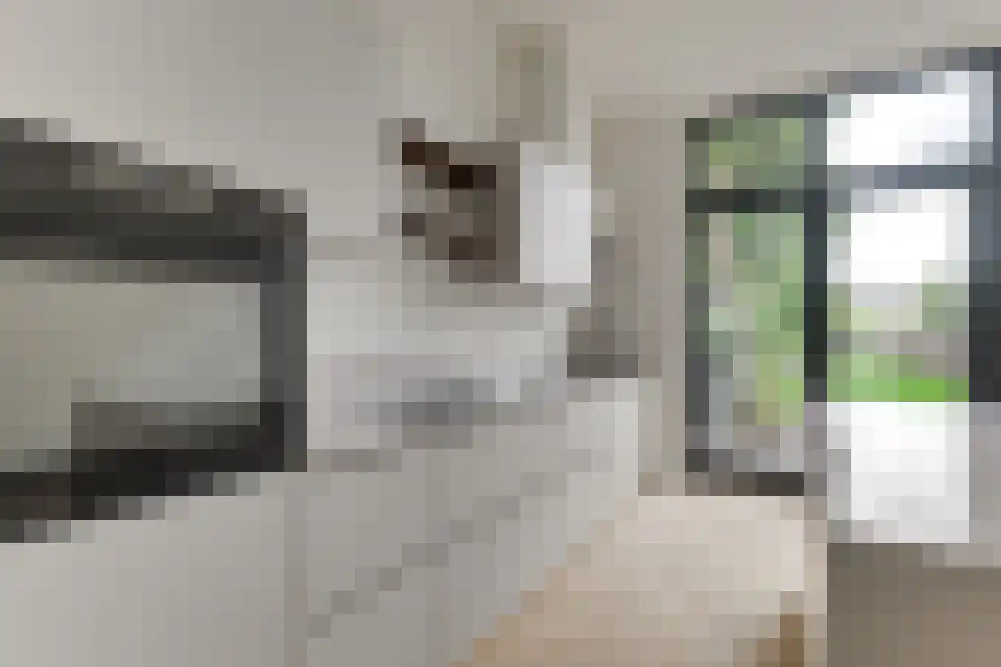 Morsweg 24 Leiden thumbnail 15