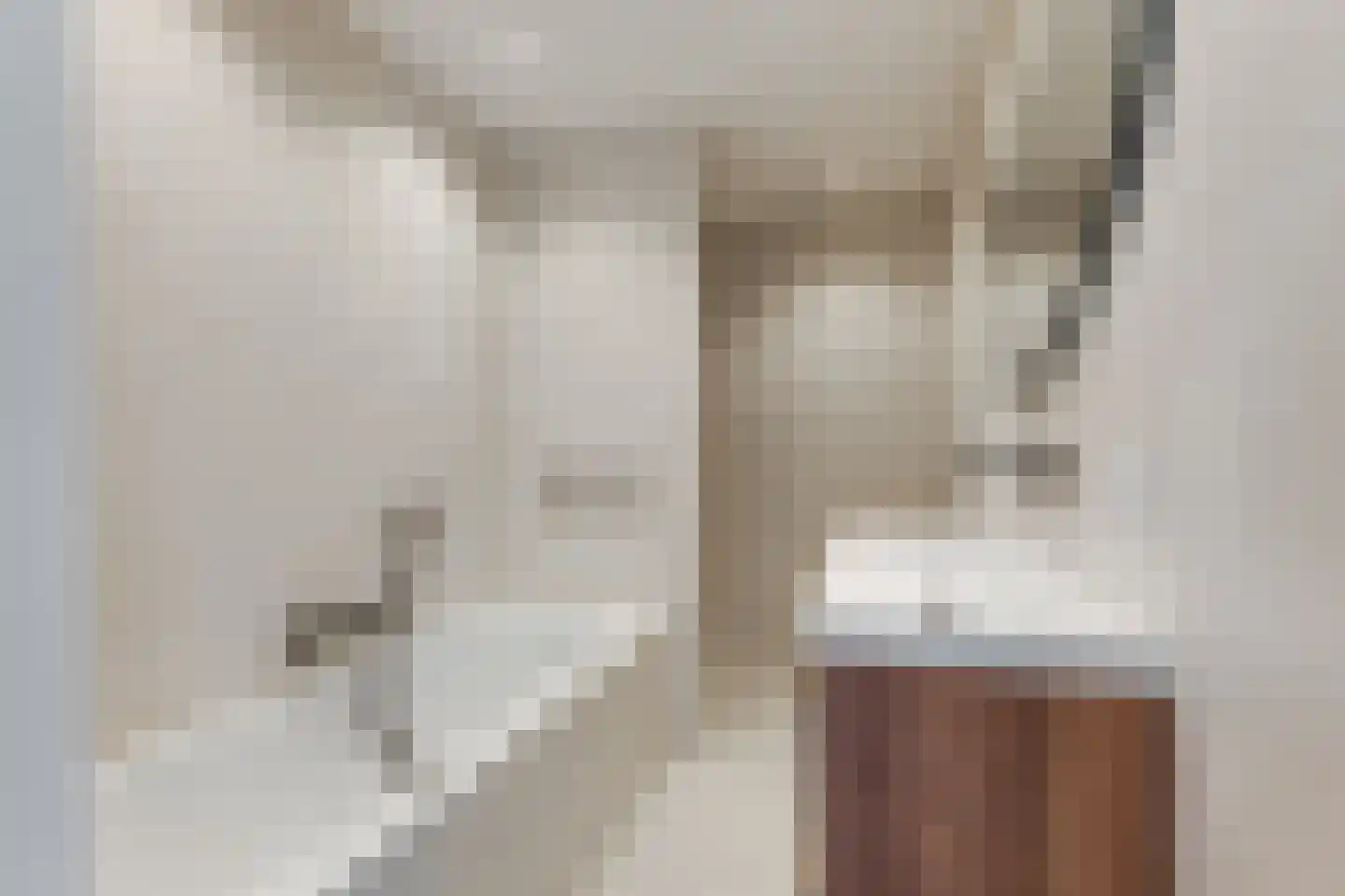 Morsweg 24 Leiden thumbnail 32