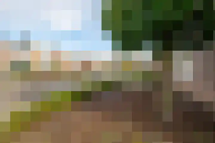 Morsweg 276 Leiden thumbnail 33