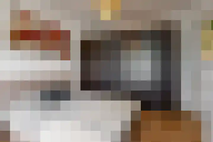 Morsweg 282 Leiden thumbnail 17