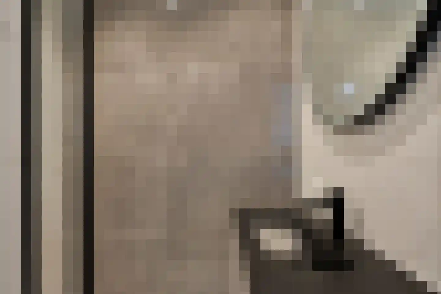 Morsweg 33 Leiden thumbnail 13