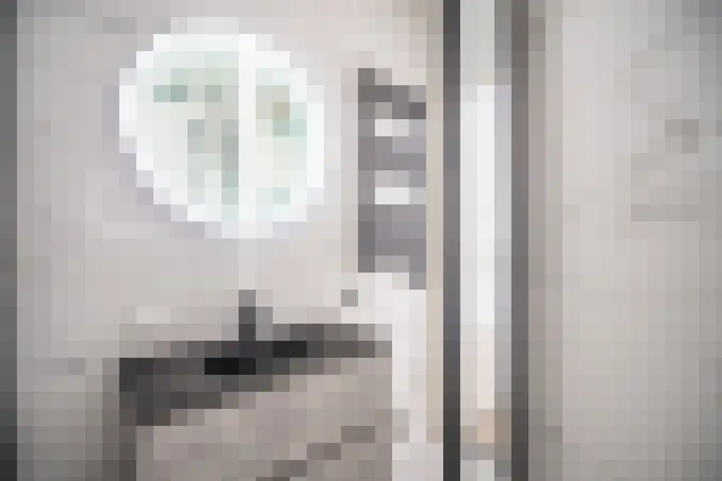 Morsweg 33 Leiden thumbnail 14