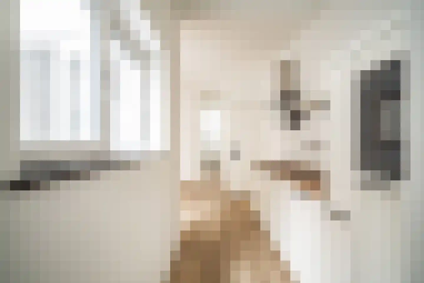 Morsweg 33 Leiden thumbnail 16