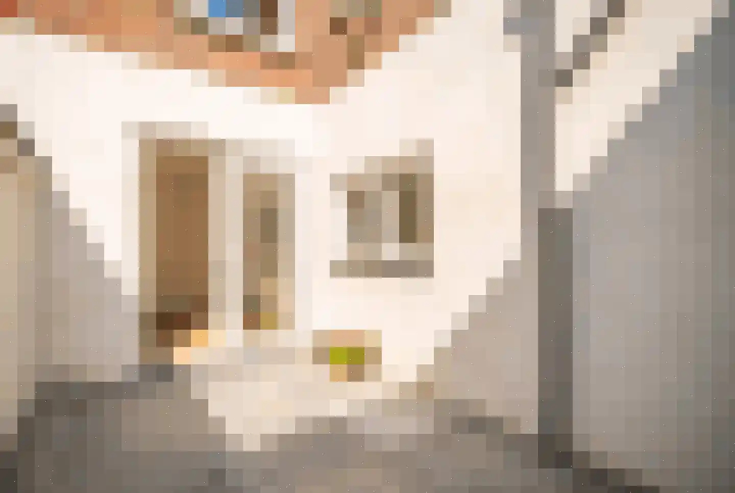 Morsweg 33 Leiden thumbnail 22