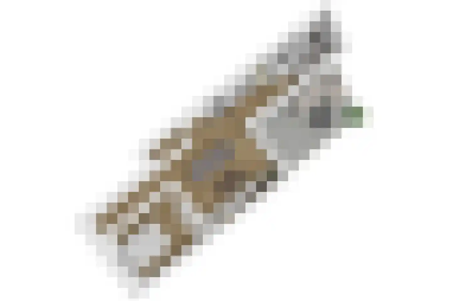 Morsweg 33 Leiden thumbnail 37