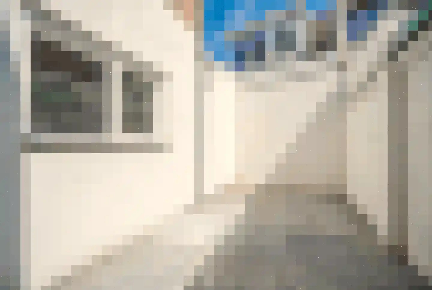 Morsweg 33 Leiden thumbnail 4