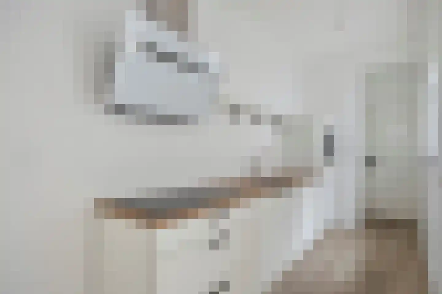 Morsweg 33 Leiden thumbnail 7