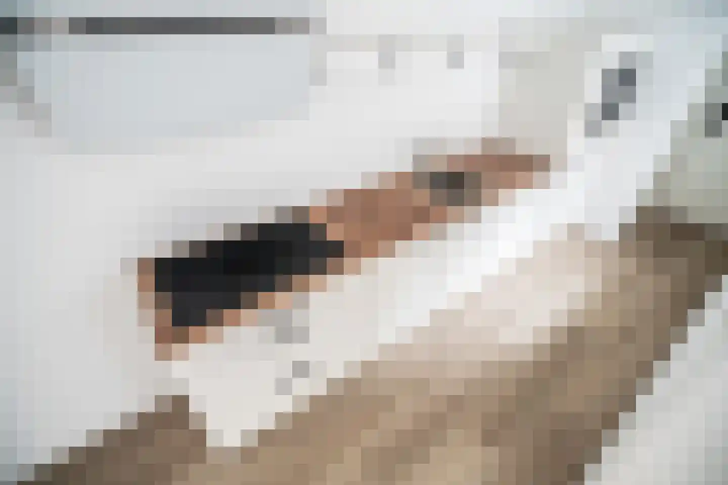 Morsweg 33 Leiden thumbnail 7