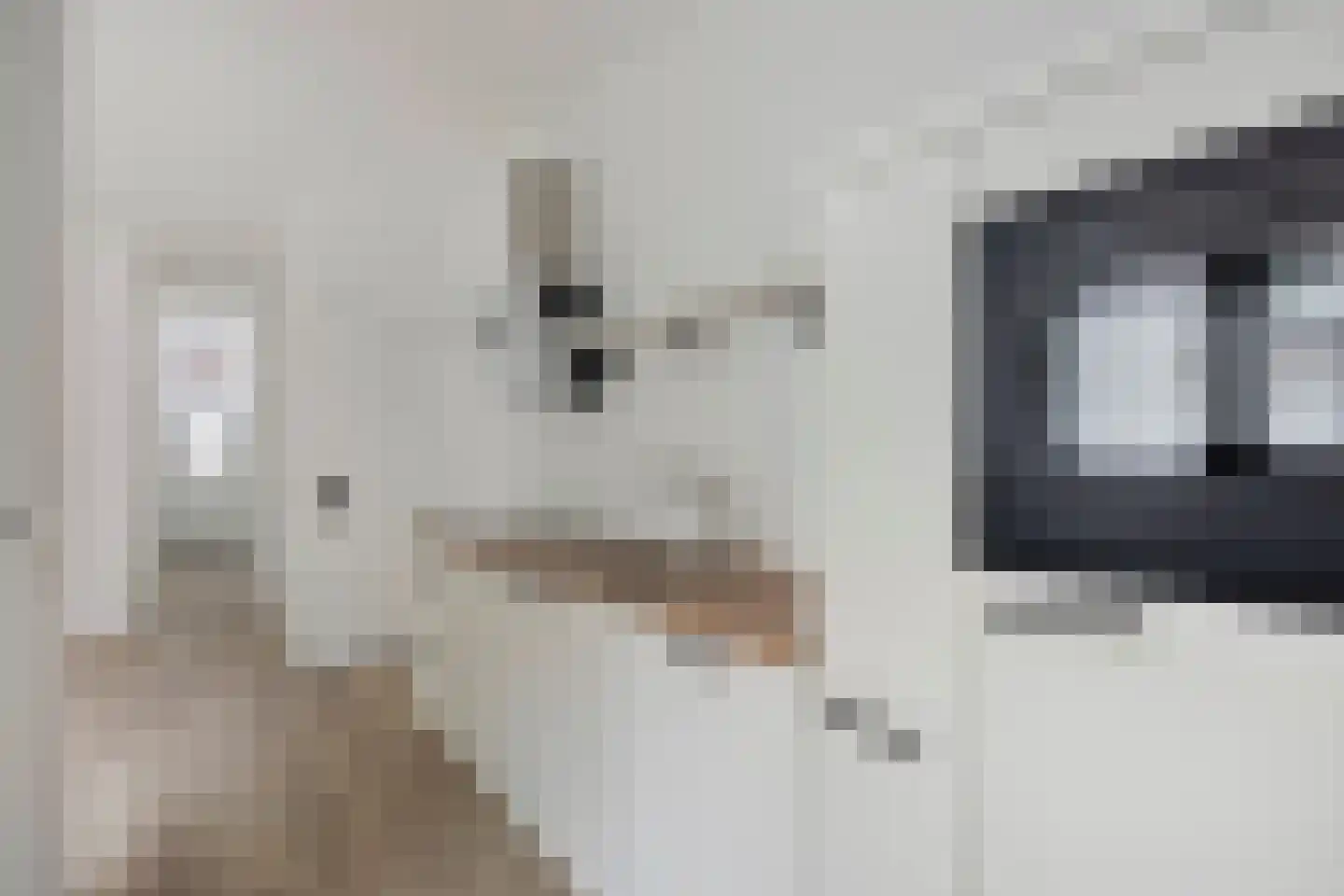 Morsweg 33 Leiden thumbnail 8