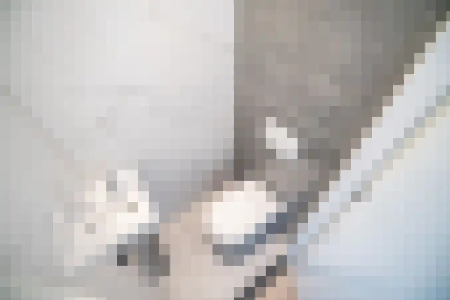 Morsweg 33 Leiden thumbnail 9