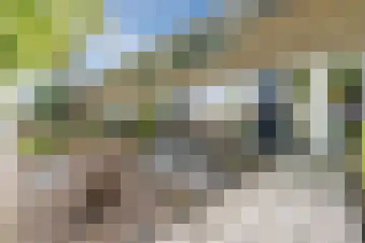Morsweg 36 Delden thumbnail 10