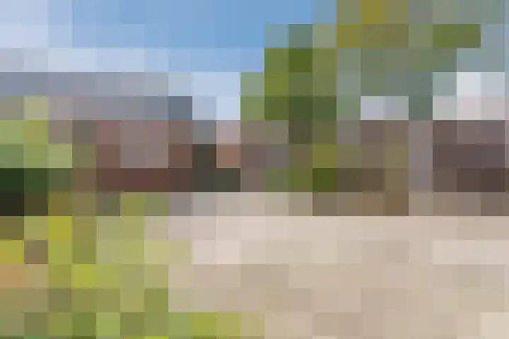 Morsweg 36 Delden thumbnail 32