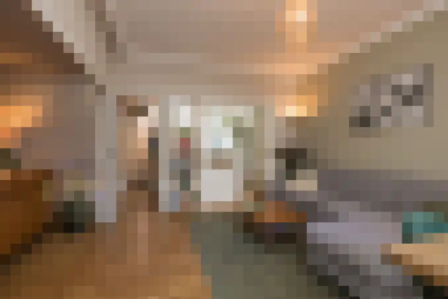 Morsweg 39 Leiden thumbnail 11