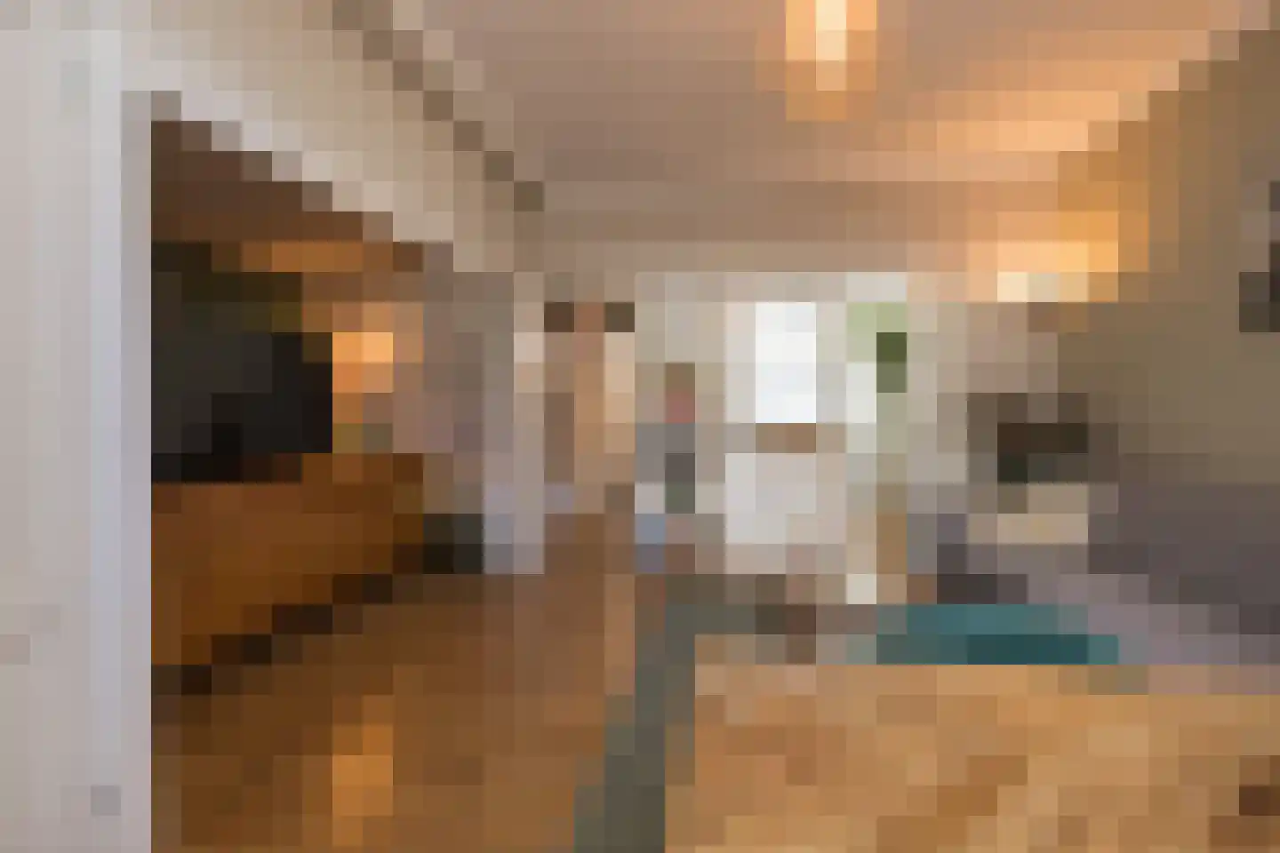Morsweg 39 Leiden thumbnail 12