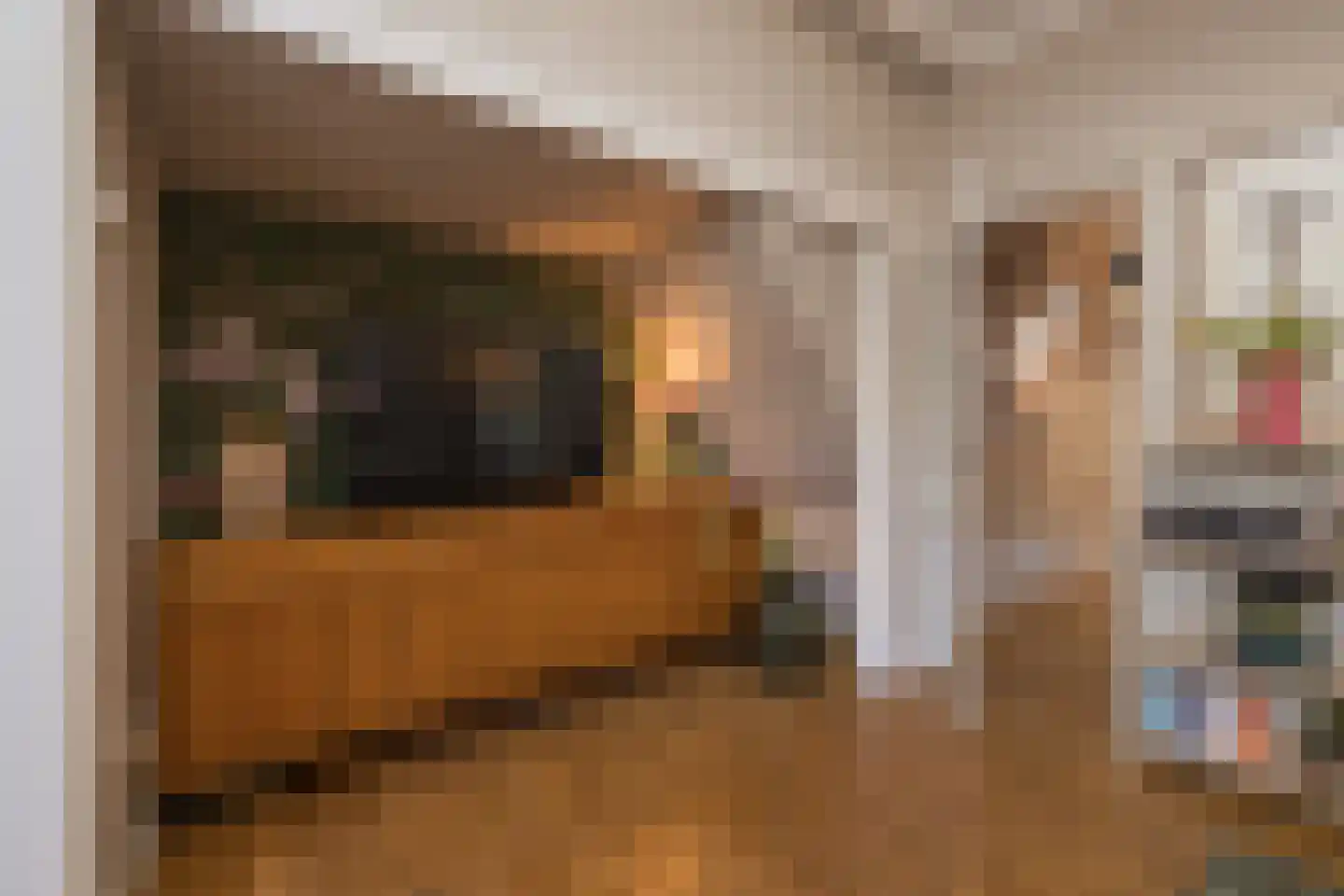 Morsweg 39 Leiden thumbnail 14