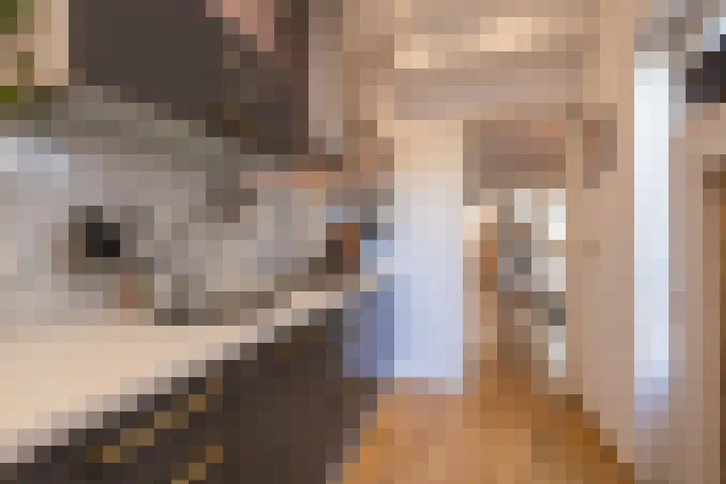 Morsweg 39 Leiden thumbnail 26