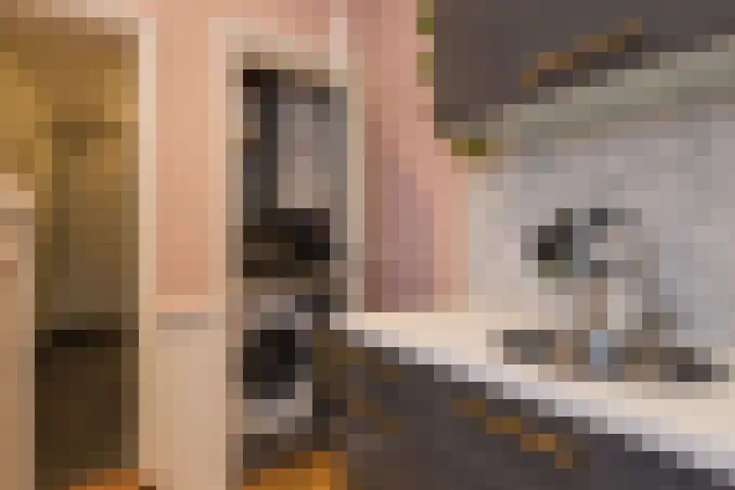 Morsweg 39 Leiden thumbnail 28