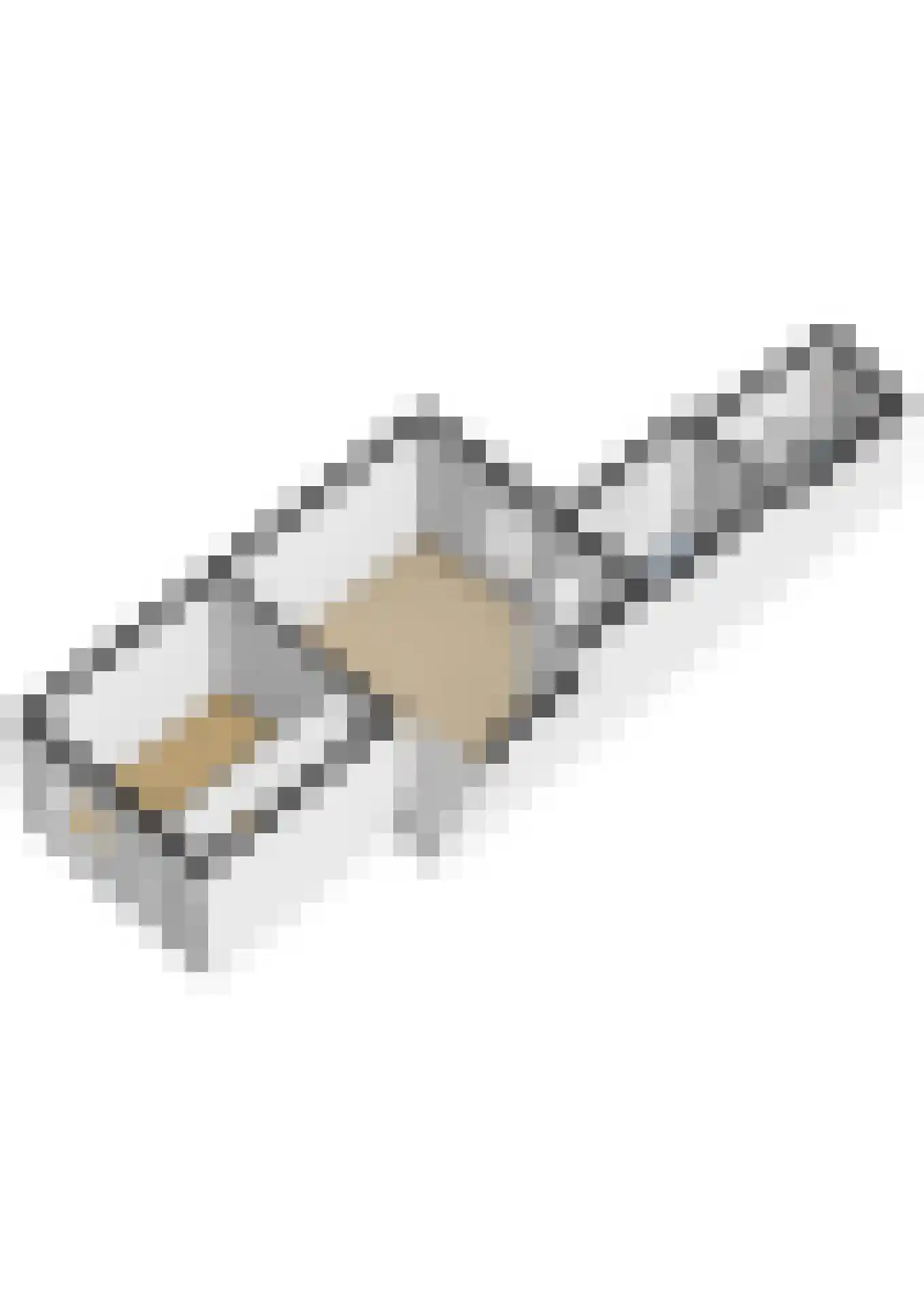 Morsweg 39 Leiden thumbnail 41