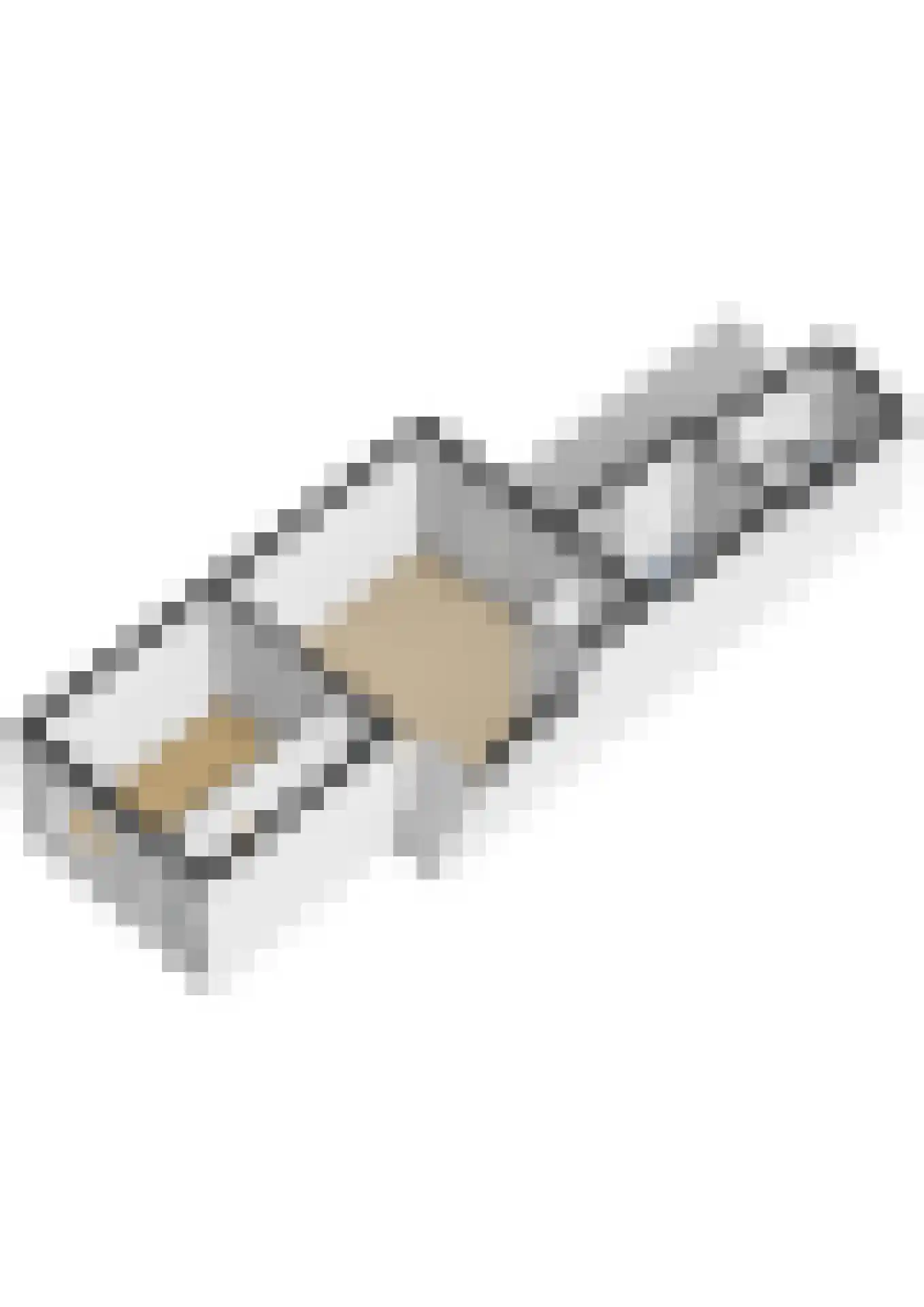 Morsweg 39 Leiden thumbnail 43