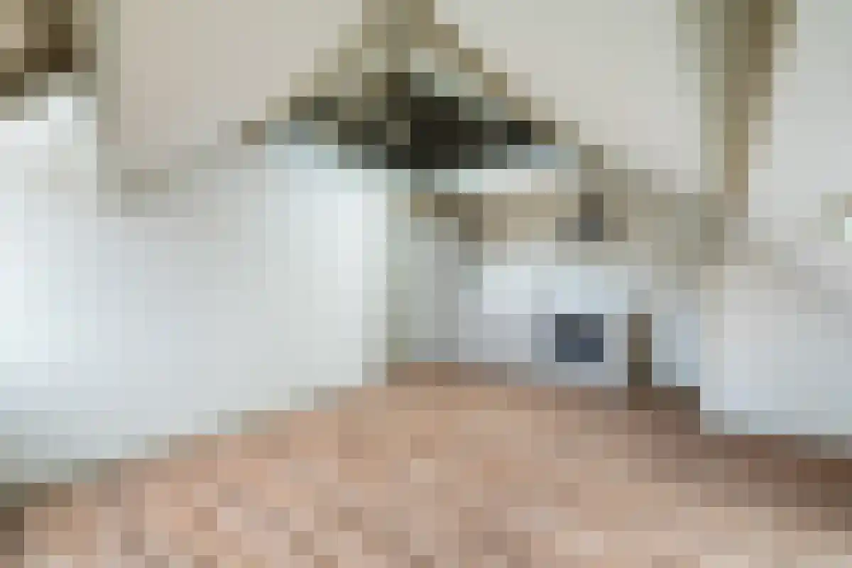 Morsweg 53 Leiden thumbnail 5