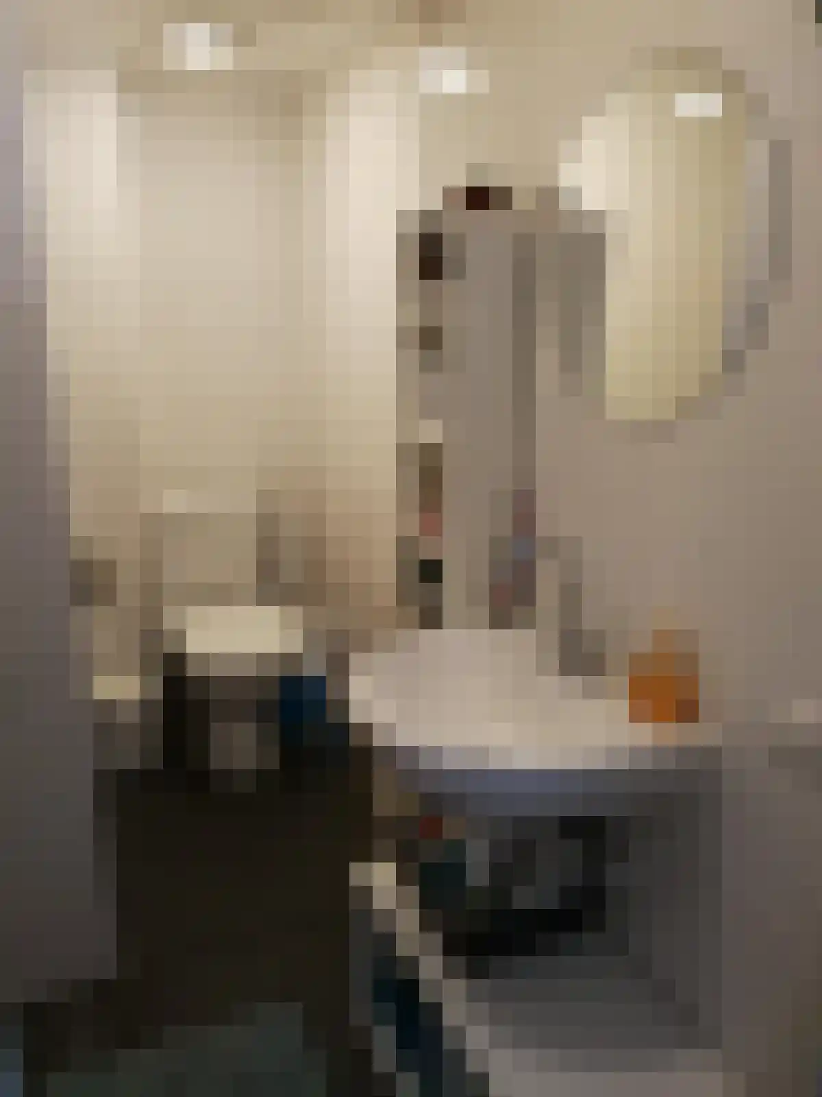 Morsweg 65 Leiden thumbnail 5